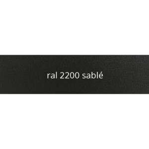 RAL 2200