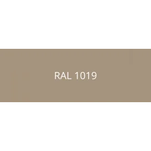 RAL 1019